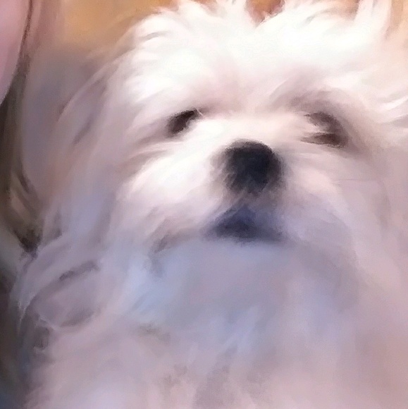 rosefarts